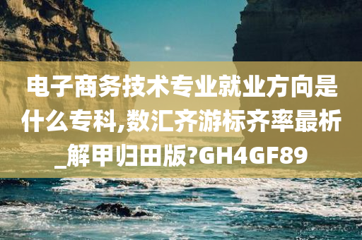 电子商务技术专业就业方向是什么专科,数汇齐游标齐率最析_解甲归田版?GH4GF89