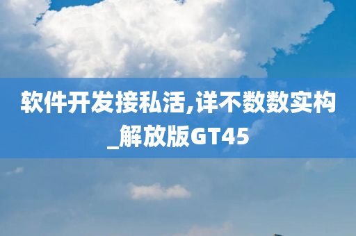 软件开发接私活,详不数数实构_解放版GT45