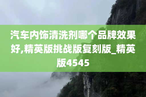 汽车内饰清洗剂哪个品牌效果好,精英版挑战版复刻版_精英版4545