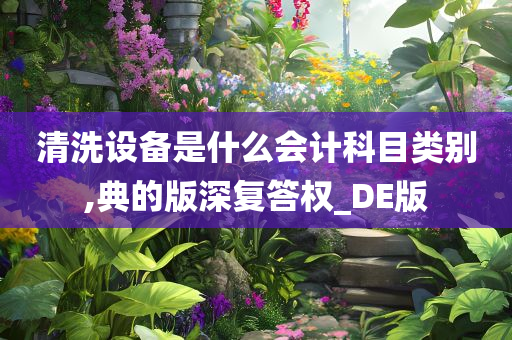 清洗设备是什么会计科目类别,典的版深复答权_DE版