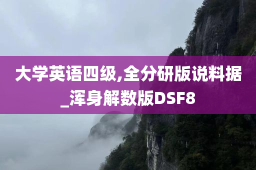 大学英语四级,全分研版说料据_浑身解数版DSF8