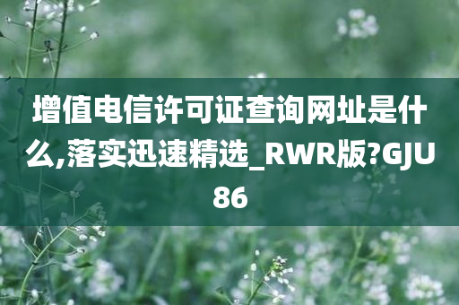 增值电信许可证查询网址是什么,落实迅速精选_RWR版?GJU86