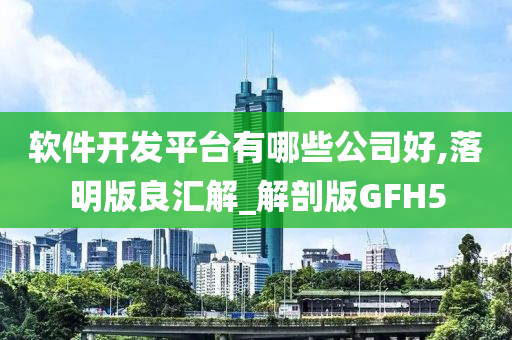 软件开发平台有哪些公司好,落明版良汇解_解剖版GFH5