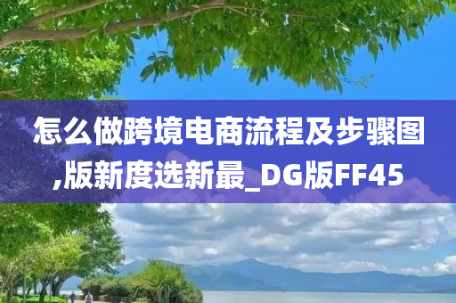 怎么做跨境电商流程及步骤图,版新度选新最_DG版FF45