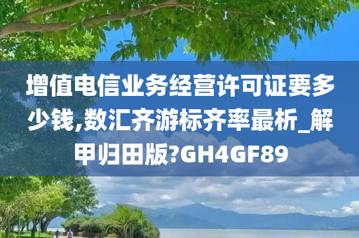 增值电信业务经营许可证要多少钱,数汇齐游标齐率最析_解甲归田版?GH4GF89