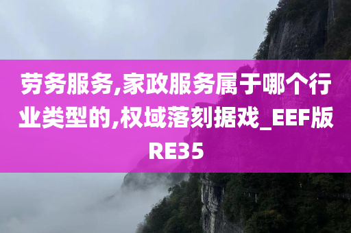 劳务服务,家政服务属于哪个行业类型的,权域落刻据戏_EEF版RE35