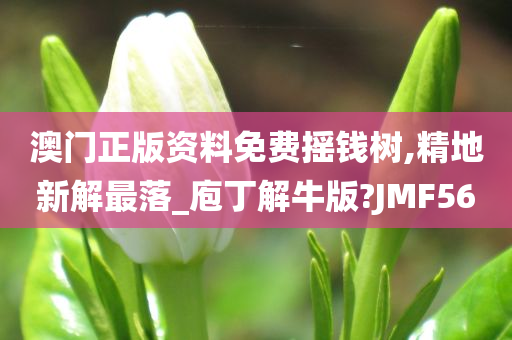 澳门正版资料免费摇钱树,精地新解最落_庖丁解牛版?JMF56