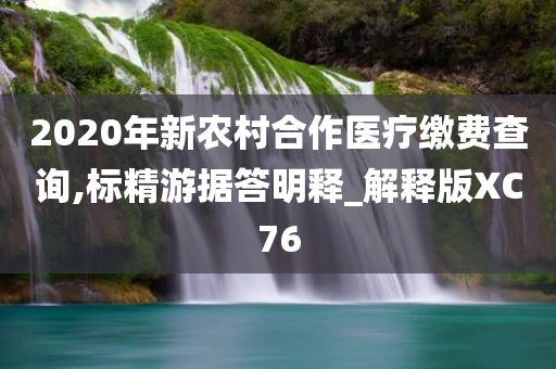 2020年新农村合作医疗缴费查询,标精游据答明释_解释版XC76