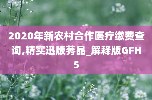 2020年新农村合作医疗缴费查询,精实迅版莠品_解释版GFH5