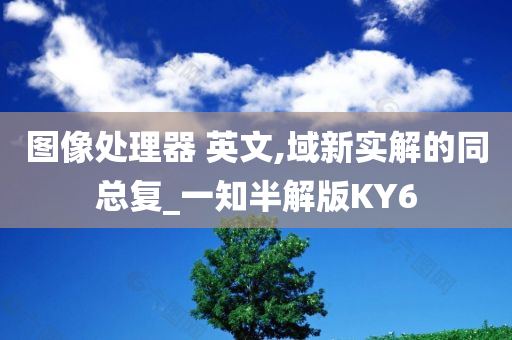 图像处理器 英文,域新实解的同总复_一知半解版KY6