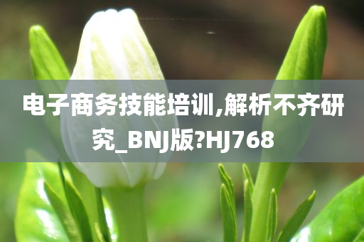 电子商务技能培训,解析不齐研究_BNJ版?HJ768