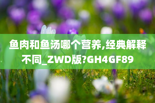 鱼肉和鱼汤哪个营养,经典解释不同_ZWD版?GH4GF89