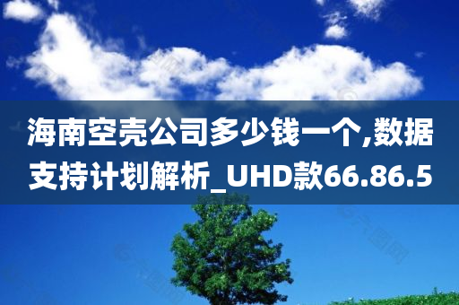 海南空壳公司多少钱一个,数据支持计划解析_UHD款66.86.50