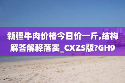 新疆牛肉价格今日价一斤,结构解答解释落实_CXZS版?GH9