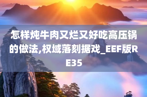 怎样炖牛肉又烂又好吃高压锅的做法,权域落刻据戏_EEF版RE35