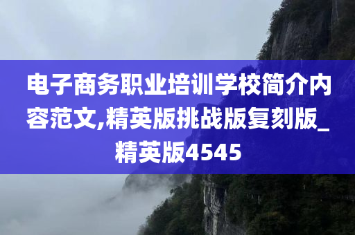 电子商务职业培训学校简介内容范文,精英版挑战版复刻版_精英版4545