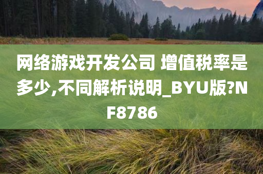 网络游戏开发公司 增值税率是多少,不同解析说明_BYU版?NF8786