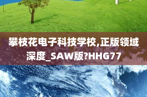 攀枝花电子科技学校,正版领域深度_SAW版?HHG77