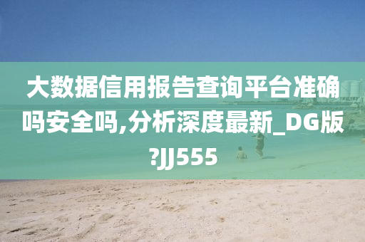 大数据信用报告查询平台准确吗安全吗,分析深度最新_DG版?JJ555