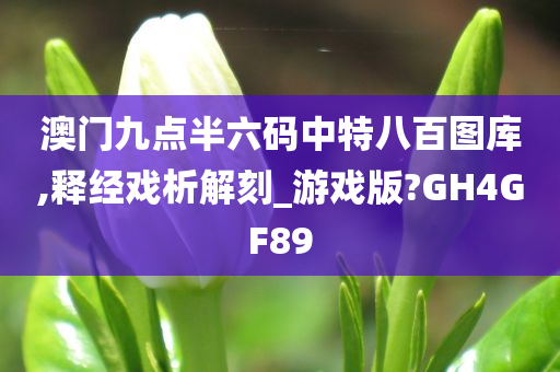 澳门九点半六码中特八百图库,释经戏析解刻_游戏版?GH4GF89