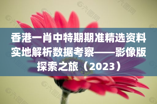 香港一肖中特期期准精选资料实地解析数据考察——影像版探索之旅（2023）