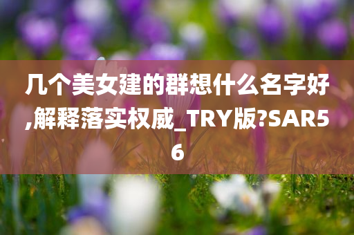 几个美女建的群想什么名字好,解释落实权威_TRY版?SAR56