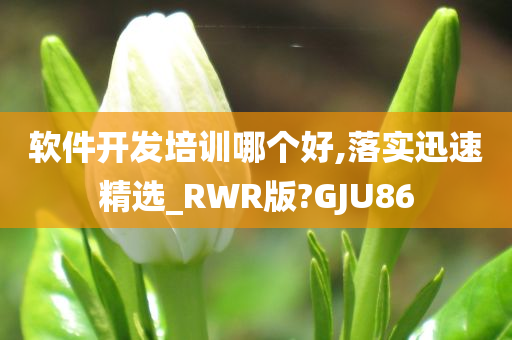 软件开发培训哪个好,落实迅速精选_RWR版?GJU86