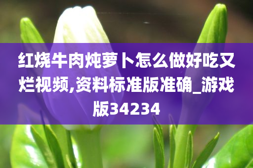 红烧牛肉炖萝卜怎么做好吃又烂视频,资料标准版准确_游戏版34234