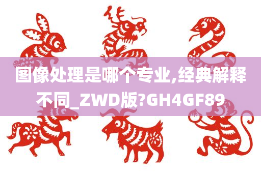 图像处理是哪个专业,经典解释不同_ZWD版?GH4GF89