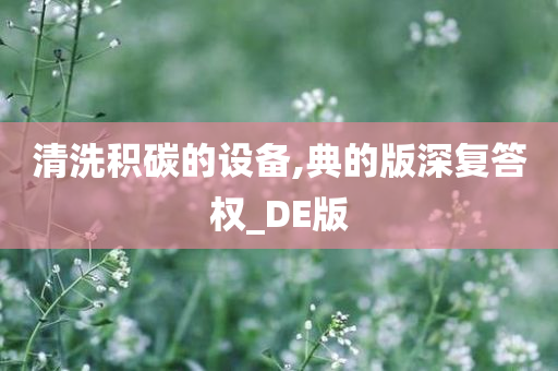 清洗积碳的设备,典的版深复答权_DE版