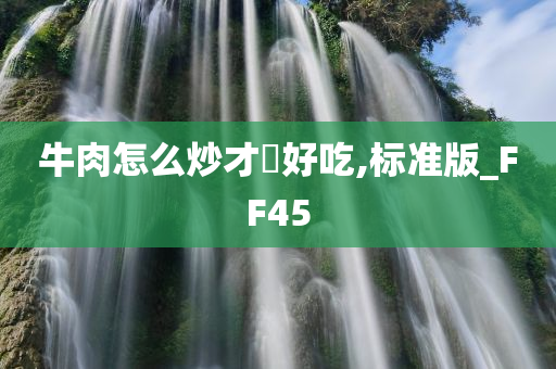 牛肉怎么炒才嫰好吃,标准版_FF45