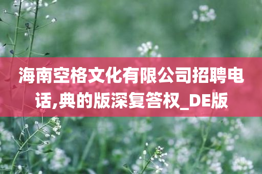 海南空格文化有限公司招聘电话,典的版深复答权_DE版