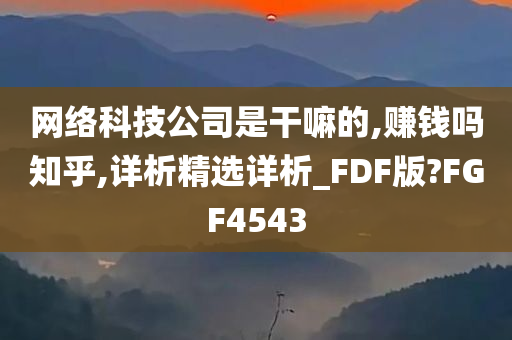 网络科技公司是干嘛的,赚钱吗知乎,详析精选详析_FDF版?FGF4543