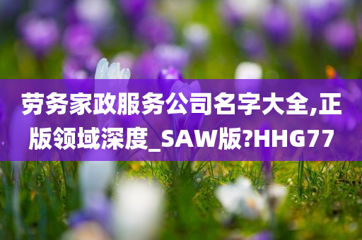 劳务家政服务公司名字大全,正版领域深度_SAW版?HHG77