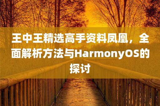 王中王精选高手资料凤凰，全面解析方法与HarmonyOS的探讨