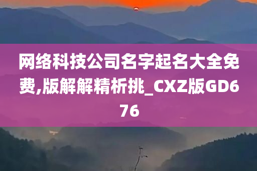 网络科技公司名字起名大全免费,版解解精析挑_CXZ版GD676