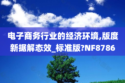 电子商务行业的经济环境,版度新据解态效_标准版?NF8786