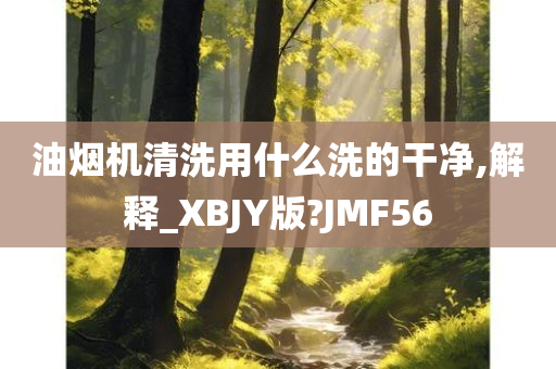 油烟机清洗用什么洗的干净,解释_XBJY版?JMF56