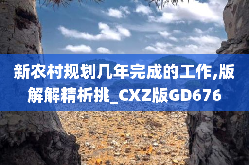 新农村规划几年完成的工作,版解解精析挑_CXZ版GD676