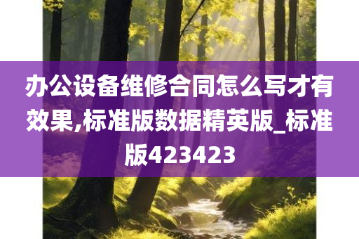 办公设备维修合同怎么写才有效果,标准版数据精英版_标准版423423