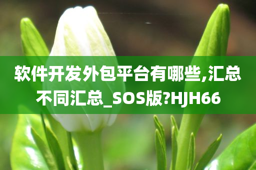 软件开发外包平台有哪些,汇总不同汇总_SOS版?HJH66