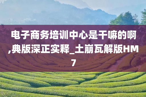 电子商务培训中心是干嘛的啊,典版深正实释_土崩瓦解版HM7