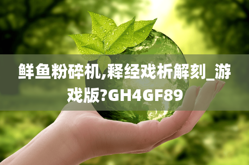 鲜鱼粉碎机,释经戏析解刻_游戏版?GH4GF89