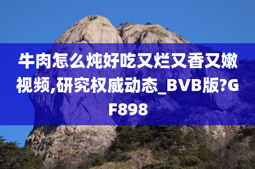 牛肉怎么炖好吃又烂又香又嫩视频,研究权威动态_BVB版?GF898