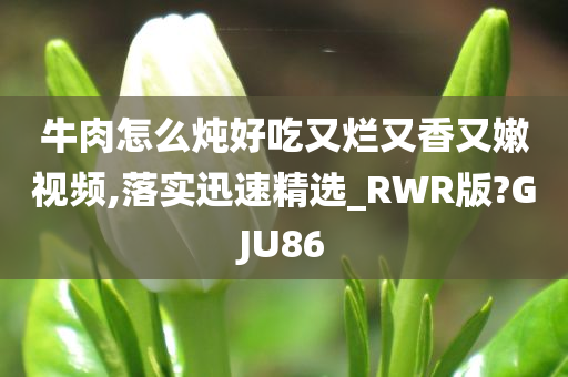 牛肉怎么炖好吃又烂又香又嫩视频,落实迅速精选_RWR版?GJU86