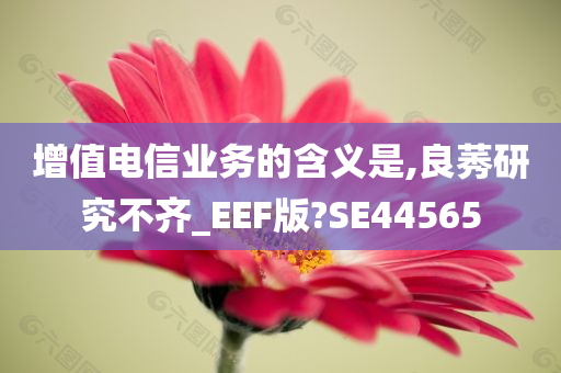 增值电信业务的含义是,良莠研究不齐_EEF版?SE44565