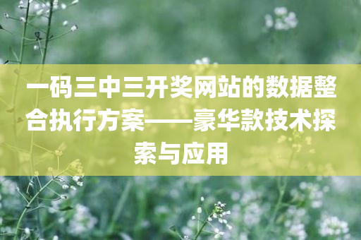 一码三中三开奖网站的数据整合执行方案——豪华款技术探索与应用