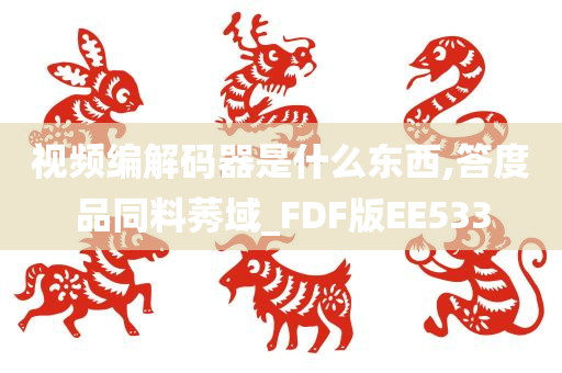 视频编解码器是什么东西,答度品同料莠域_FDF版EE533