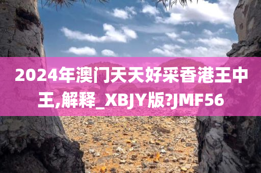 2024年澳门天天好采香港王中王,解释_XBJY版?JMF56