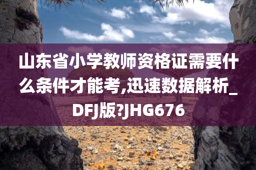 山东省小学教师资格证需要什么条件才能考,迅速数据解析_DFJ版?JHG676